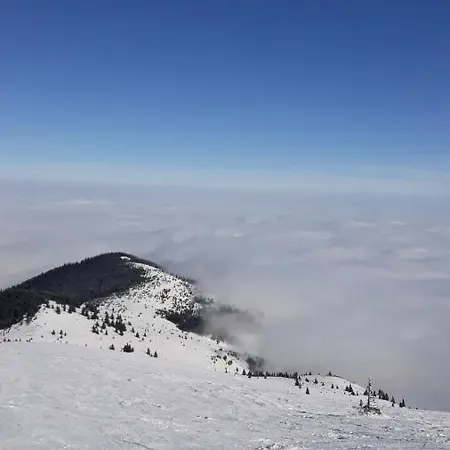 Kop Milmari P32 * Kopaonik