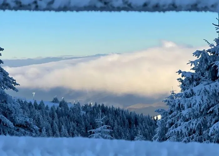 Kop Milmari P32 * קופאוניק